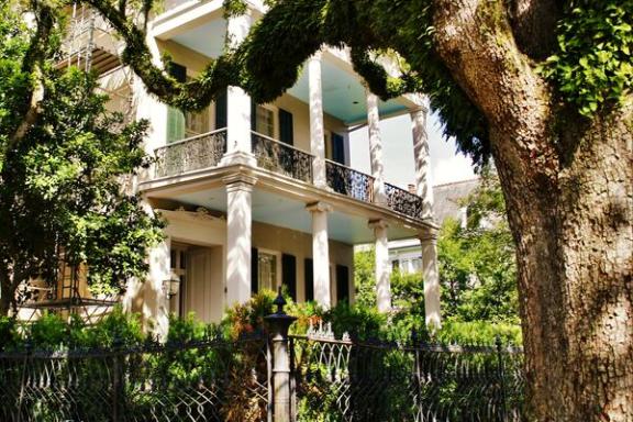 a tree in front of a building