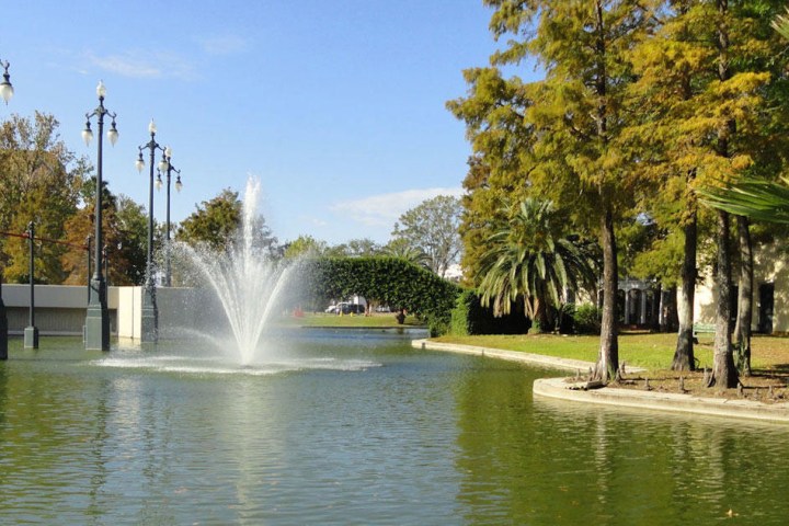 water next to a tree