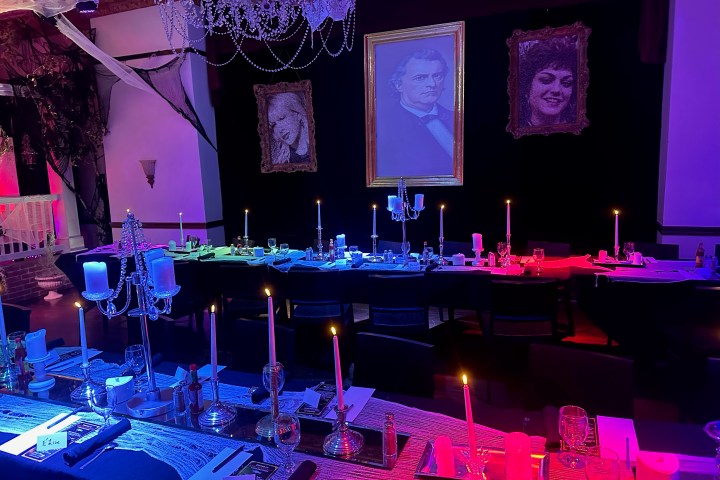 a group of people on a stage in front of a christmas tree